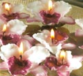Orchid Floating Candles - 6-Pc Set