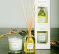 Therepe Candle & Reed Diffuser Gift Set - Green Tea & Ginger