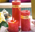 Timber Watermelon Candles - Unscented