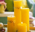 Timber Apricot Candles - Unscented