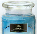 Ocean Jar Candle - 4.3 oz