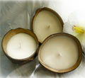 Coconut Shell Candle - Brown Wax