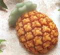 Pineapple Floaters - Sold Individually