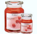 Red Hot Cinnamon Jar Candle - 15.5 oz