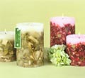 Tea Leaf Embedded Pillar Candles - Green