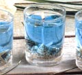 Seascapes 3-Pc Glass Set - 3-Pc Set