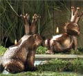 Copper Frog Tealight Holders