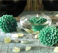 Garden Floater Gift Set