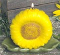 Sunflower Candle on Leaf Plate