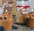 Muffin Candles - Blueberry