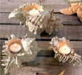 Seashell Tealight Holders - Small Shell