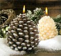 Frosted Pine Cone Candles - White