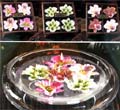 Orchids 4-pc Floater Set - Green