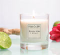 Therepe Scented Soy Jar Candle Tester - Sandalwood