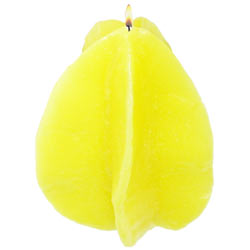 The Starfruit is rapidly becoming one of the most popular fruits. Its unique design and shape make this candle a must have in a candle fruit bowl collection. Unscented.
