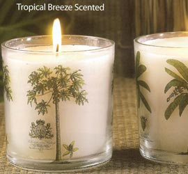 This new collection is inspired by the hottest tropical Caribbean and Colonial home decor trends. With a focus on classic pineapple and palm trees and exotic woven textures  this exciting group combines earthy hues with woven and sculpted pillars. Scented with fragrant tropical woods and grasses these candles are the perfect accessories for today's island casual home style. These Palm Tree Glass Candles come either as one jumbo glass candle or as a 3-Pc Mini glass set. All candles are Safari Rain scented.