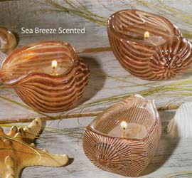 These Brown Seashell Gel Candles come Sea Breeze Scented and are perfect for that ocean feel. They come in assorted styles and are priced per each candle.