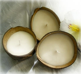 Soy Coconut Shell Candle - White Wax