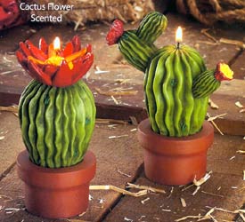 These Cactus Candles are perfect for that southwestern themed party or wedding. They are so real looking  you'll be afraid to touch them  but don't worry they won't prick you. The whole candle including the flower pot is made of wax. All cactus candles come cactus flower scented and in the two assorted styles shown. Sold individually.