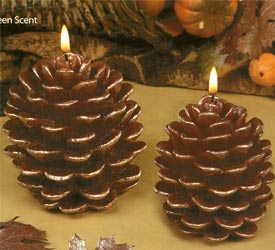Pine Cone Candles - Evergreen Scented