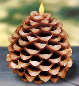Pine Cone Unscented Candle - Unscented