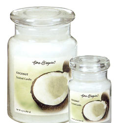 Coconut Jar Candle - 4.3 oz