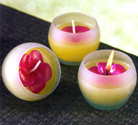 Maui Plumeria Jar Candle - Sold Individually