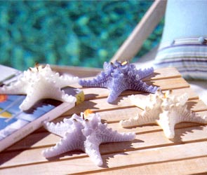 Starfish Candles - Blue
