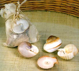 Wax Filled 6-Pc Shell Candles - 6-Pc Set
