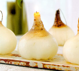 Lily Bulb Candles Lily Bulb Candles