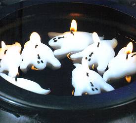 Click here for more info from Candle Bay