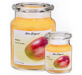 Mango Jar Candle - 4.3 oz