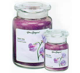 Passion Fruit Jar Candle - 4.3 oz Passion Fruit Jar Candle