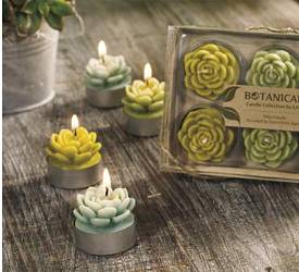 Sculpted Succulent Tea Light 6-Pc Gift Set